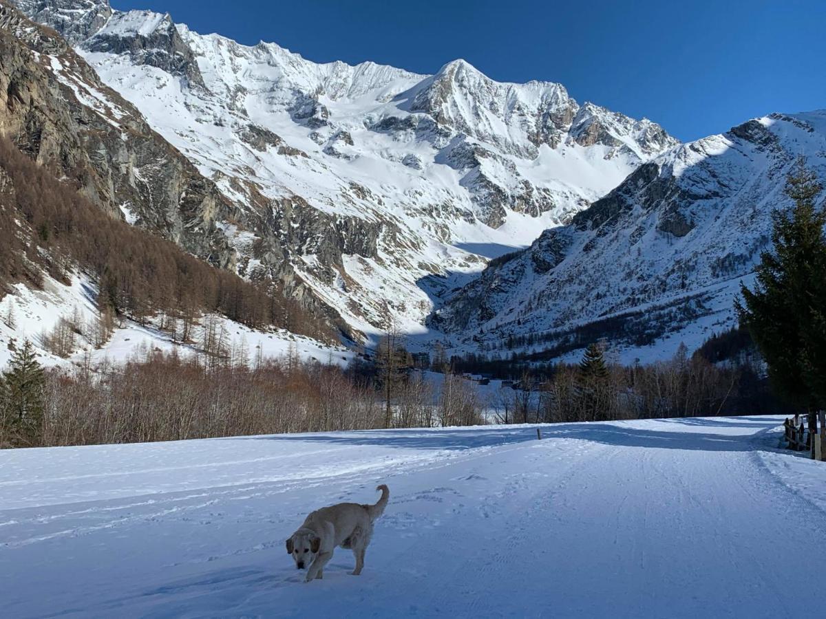 Hotel Arolla 부르생모리스 외부 사진